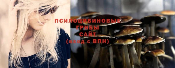 spice Горняк