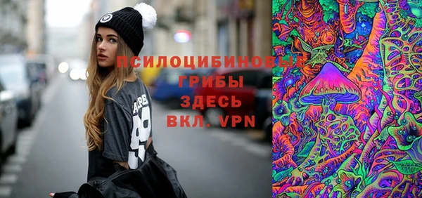 spice Горняк