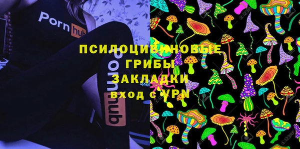 PSILOCYBIN Горнозаводск