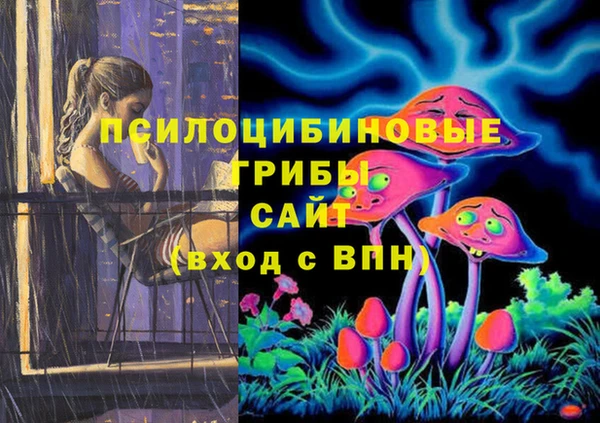 крисы Вязники