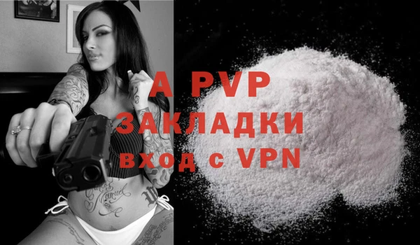 spice Горняк