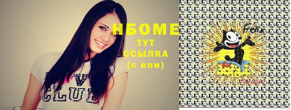 PSILOCYBIN Горнозаводск