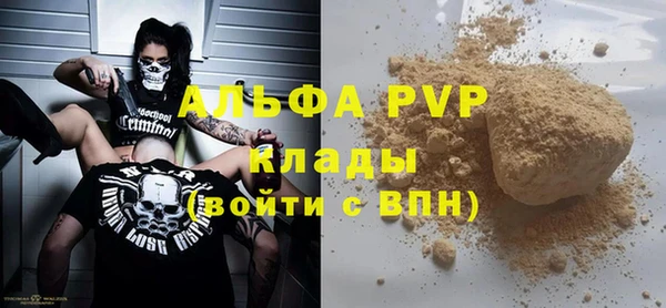 PSILOCYBIN Горнозаводск