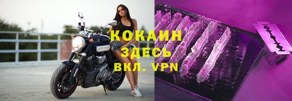 2c-b Горно-Алтайск