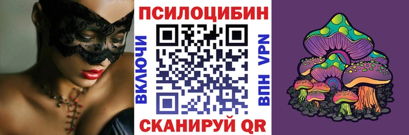 Купить  Павлово  Псилоцибиновые грибы Psilocybe 